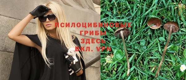 МДПВ Аркадак