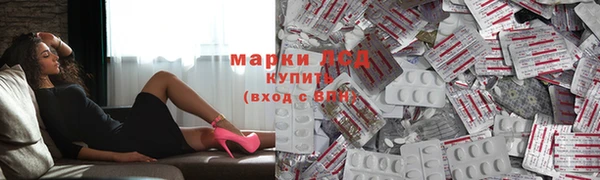 хмурый Арсеньев
