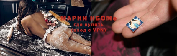 хмурый Арсеньев