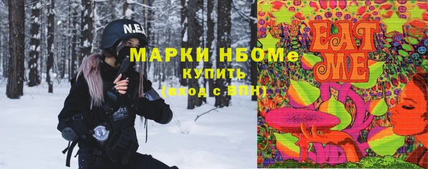 хмурый Арсеньев