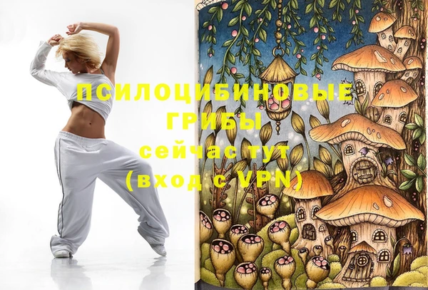 хмурый Арсеньев