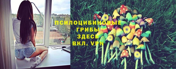 МДПВ Аркадак