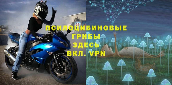хмурый Арсеньев