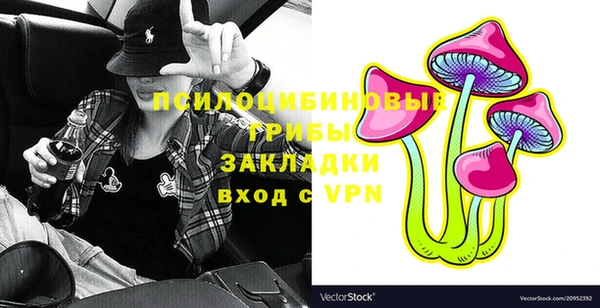 хмурый Арсеньев