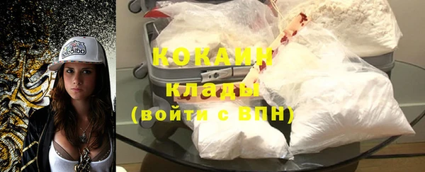 хмурый Арсеньев