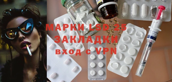 хмурый Арсеньев
