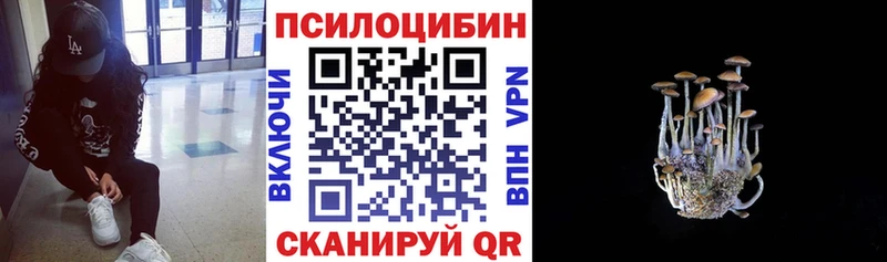 где можно купить наркотик  Горячий Ключ  мориарти Telegram  Галлюциногенные грибы MAGIC MUSHROOMS 